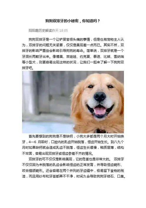 狗狗双排牙的小秘密，你知道吗？