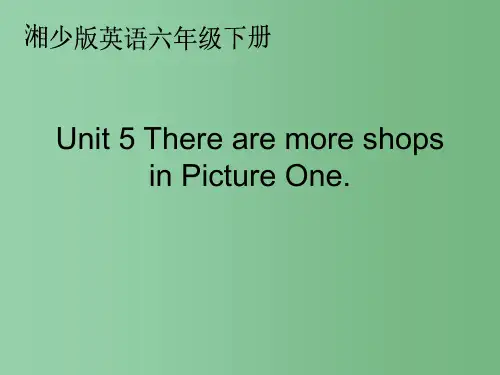 六年级英语下册 unit5课件 湘少版