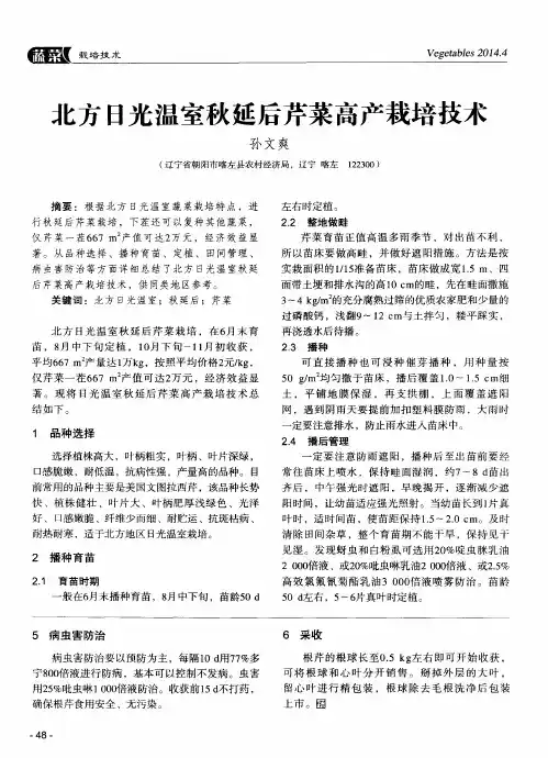 北方日光温室秋延后芹菜高产栽培技术