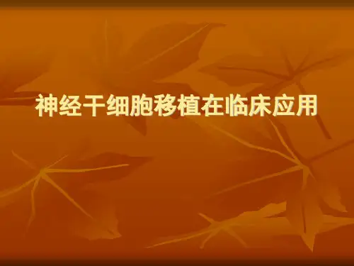 神经干细胞移植