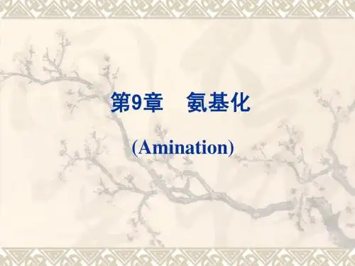 精细有机合成化学与工艺学 9 氨基化