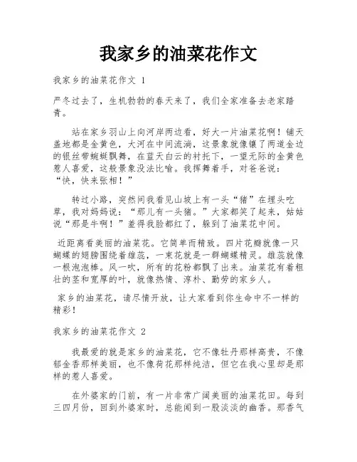 我家乡的油菜花作文