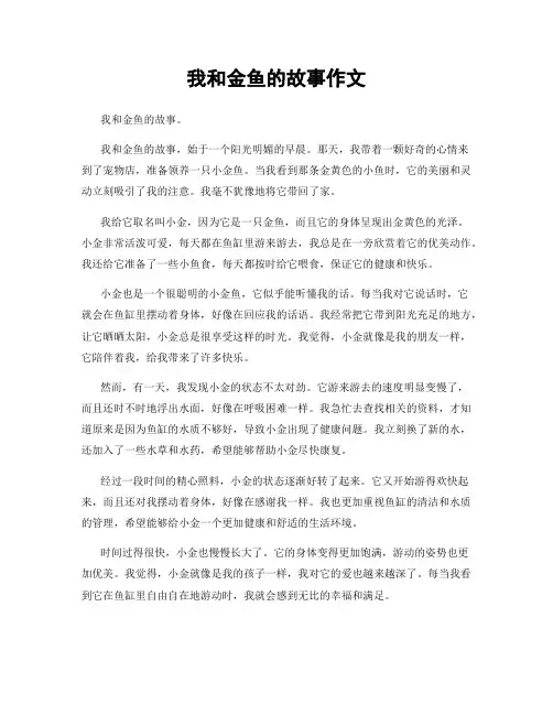 我和金鱼的故事作文