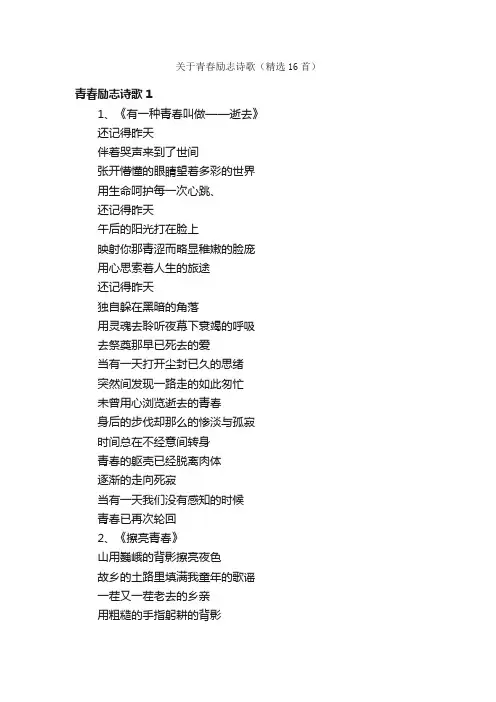 关于青春励志诗歌（精选16首）