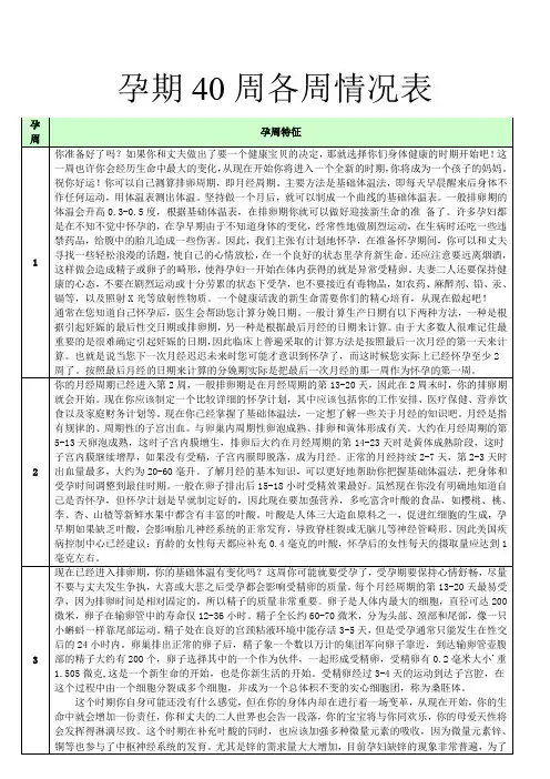 孕期40周各周情况表