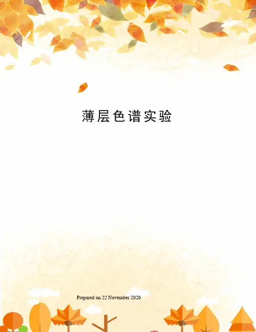 薄层色谱实验