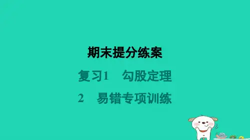 2024八年级数学上册期末复习1勾股定理2易错专项训练习题课件新版北师大版