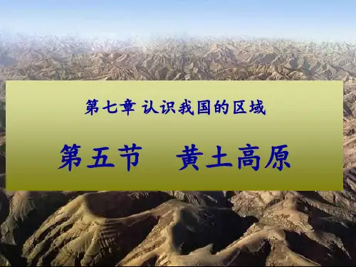 中图版初中地理七年级下册课件-7.5 黄土高原5