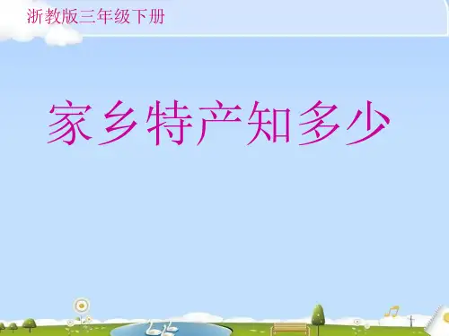 浙教版品社三年级下《家乡特产知多少》ppt课件3