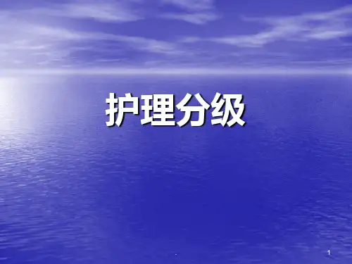 护理分级课件PPT课件