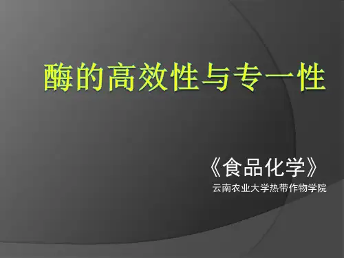 酶的高效性与专一性