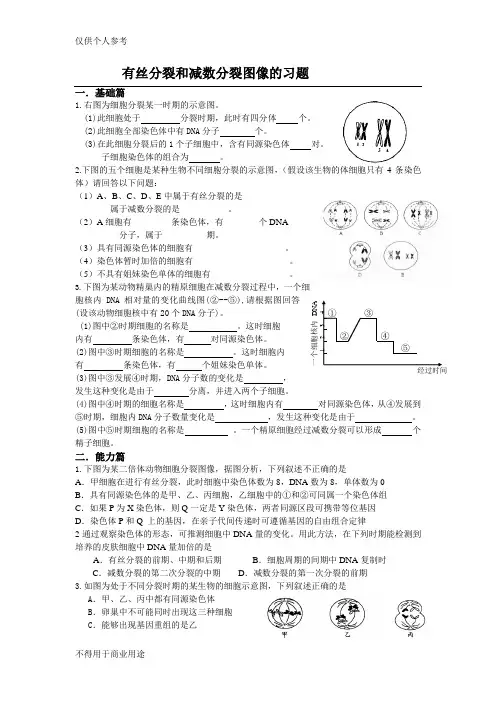 有丝分裂和减数分裂图像的习题