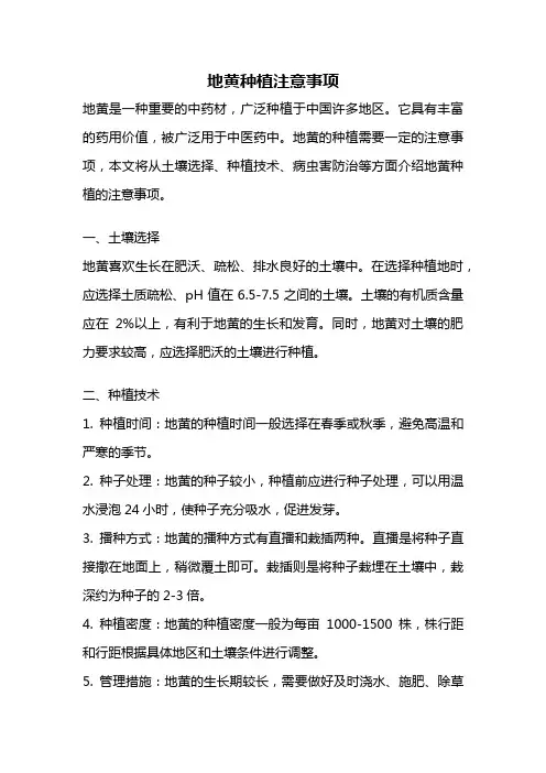 地黄种植注意事项