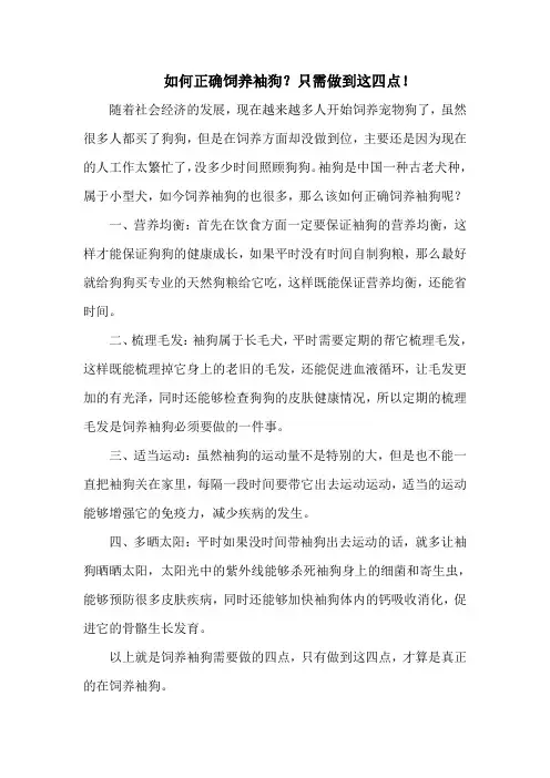 如何正确饲养袖狗？只需做到这四点!