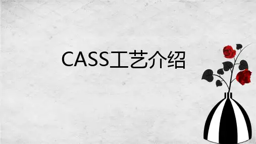 CASS工艺介绍讲课资料