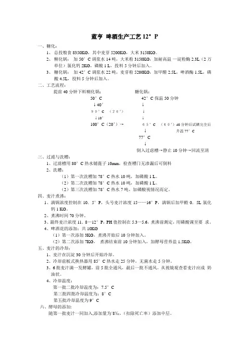 12度啤酒生产工艺