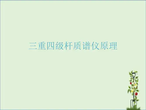 三重四级杆质谱仪原理整合完整版