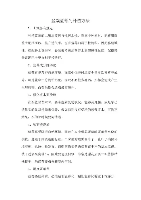 盆栽蓝莓的种植方法