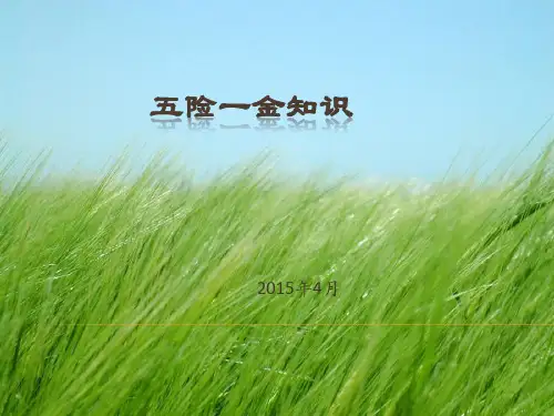 《五险一金知识》ppt课件