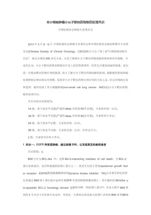 非小细胞肺癌小分子靶向药物耐药处理共识2013