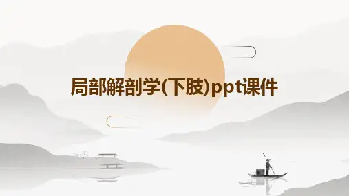 局部解剖学(下肢)PPT课件