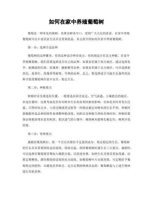 如何在家中养殖葡萄树