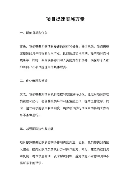 项目提速实施方案