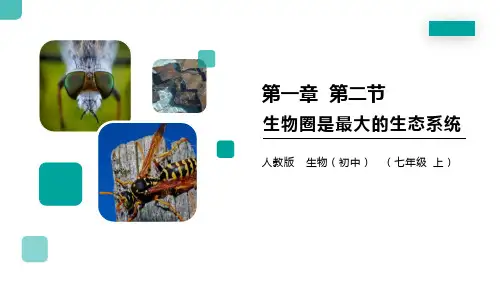 《生物圈是最大的生态系统》精品课件-人教版七年级生物上册PPT课件