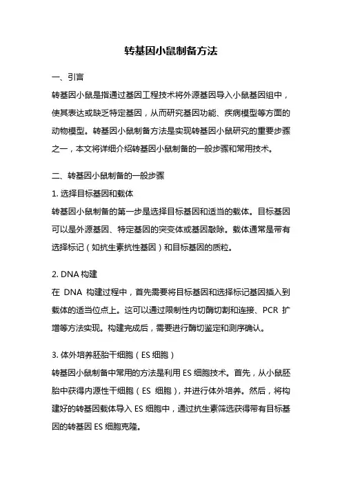 转基因小鼠制备方法