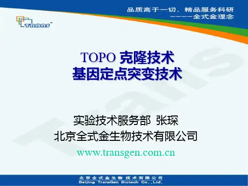 载体、点突变