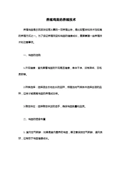 养殖鸡苗的养殖技术