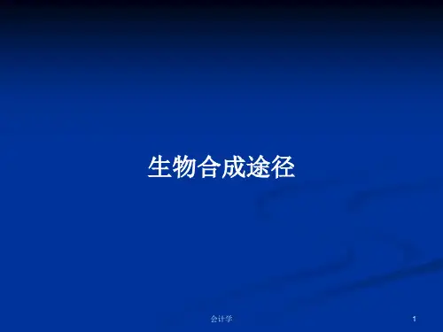 生物合成途径PPT学习教案