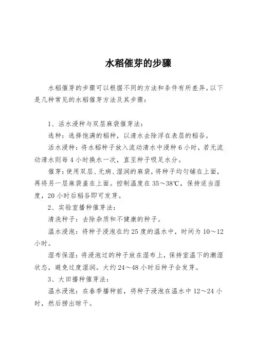 水稻催芽的步骤
