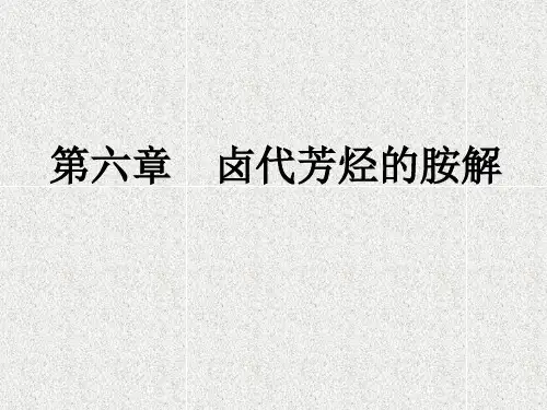 (优化版)6-胺解反应