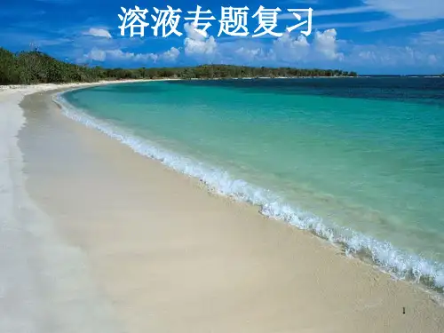 九年级化学第九单元溶液复习ppt课件