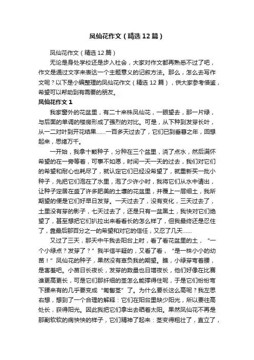 凤仙花作文（精选12篇）