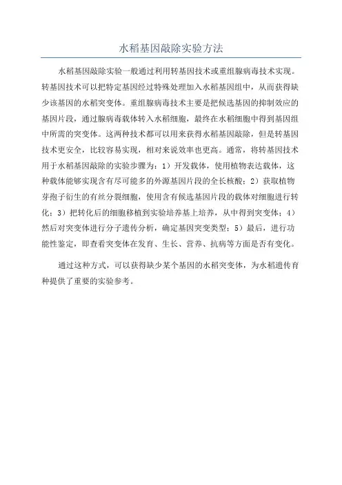 水稻基因敲除实验方法