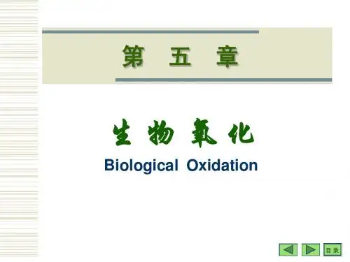 人卫版生物化学 第5章 生物氧化