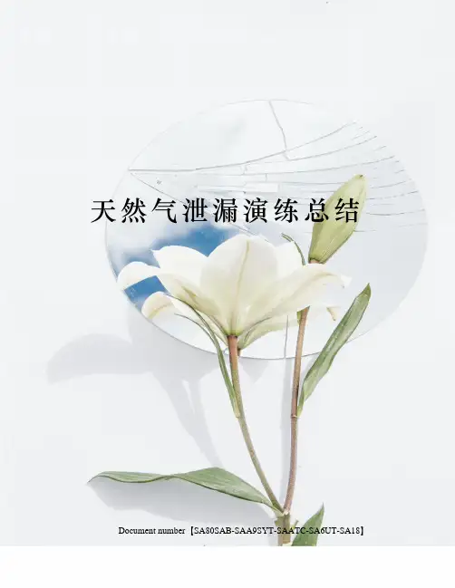 天然气泄漏演练总结修订稿