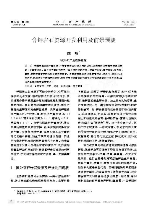 含钾岩石资源开发利用及前景预测