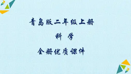 青岛版(五四制)科学二年级上册全册课件【完整版】