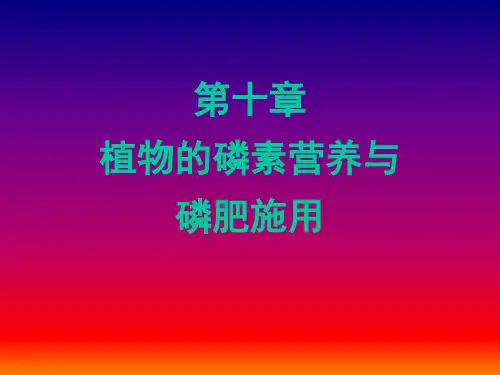 第10章  植物的磷素营养与磷肥施用(修改) 《土壤肥料学》课件
