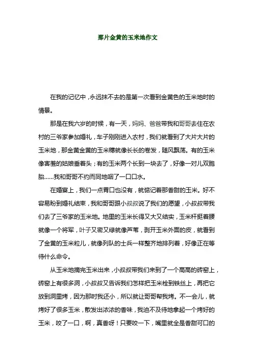 那片金黄的玉米地(初中作文)