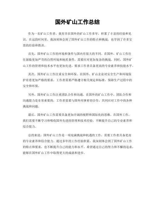 国外矿山工作总结