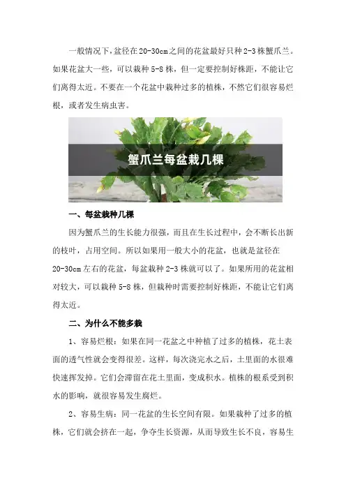 蟹爪兰每盆栽几棵比较合适,为什么不能多栽？