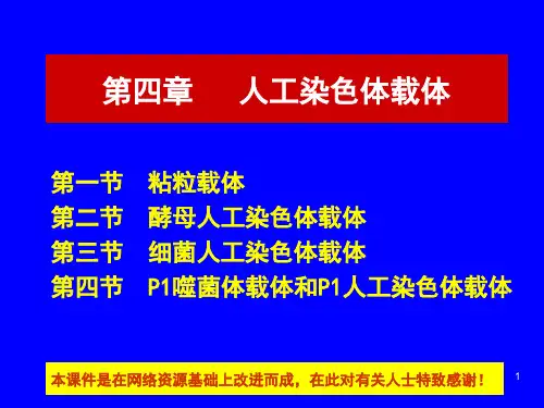 第4章人工染色体载体