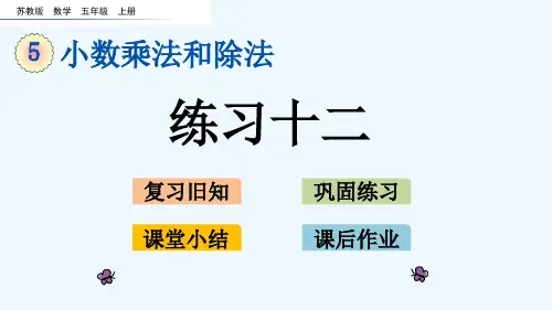 苏教版五年级数学上册第五单元5.10 练习十二