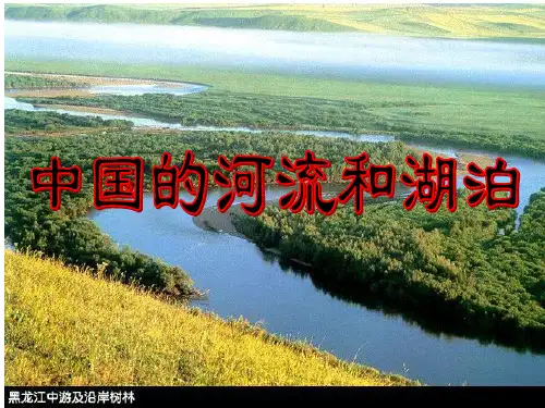 长江和黄河ppt