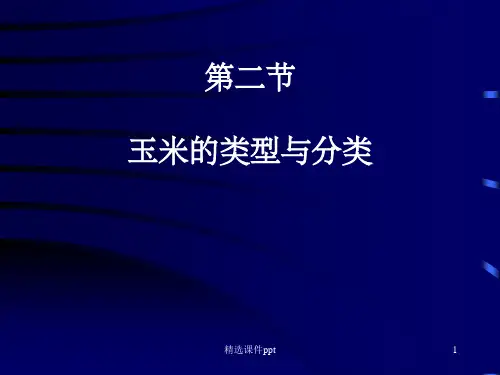 《玉米的类型与分类》PPT课件