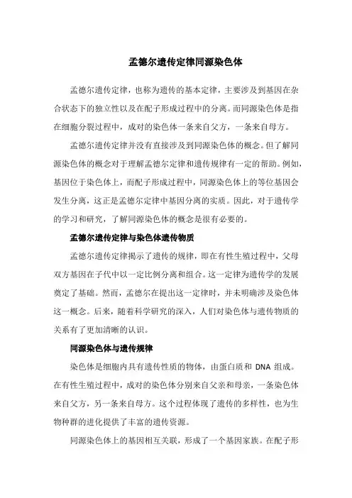 孟德尔遗传定律同源染色体